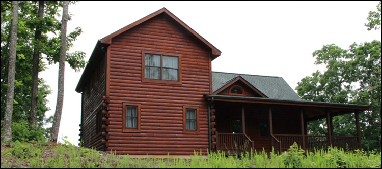 Professional Log Home Borate Application  Ashland County, Ohio